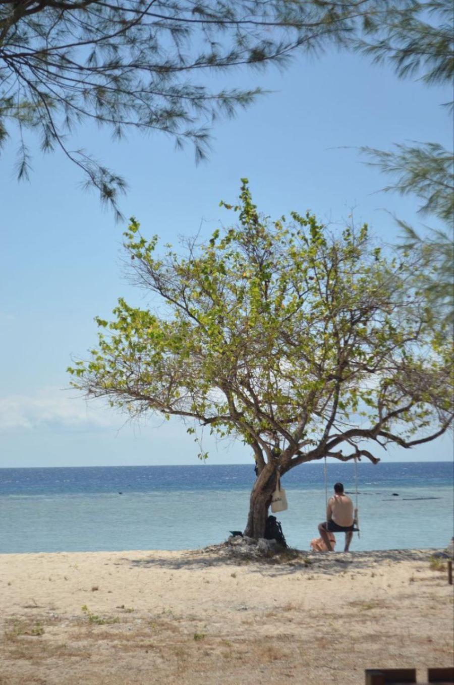 Mimpi Bungalow Gili Meno Eksteriør billede